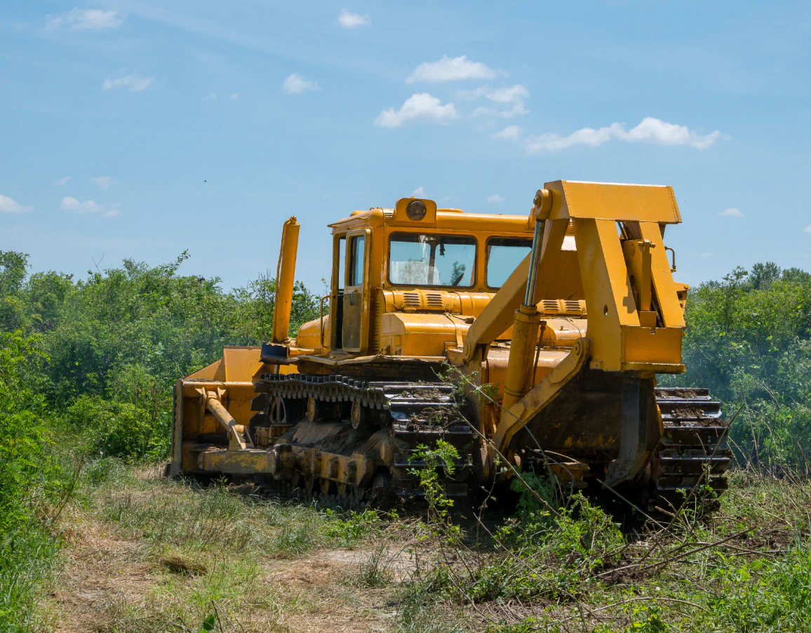 Forestry Mulching Services